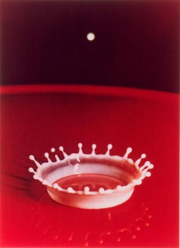Milk Drop Coronet, 1957 (from the portfolio: Ten Dye Transfer Photographs)