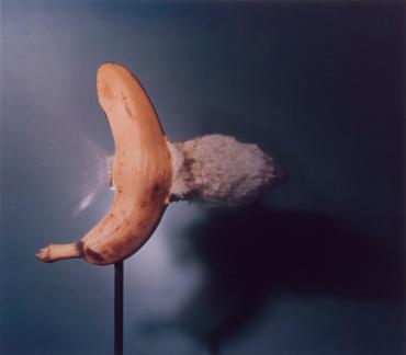 Bullet Through Banana, 1964 (from the portfolio: Ten Dye Transfer Photographs)
