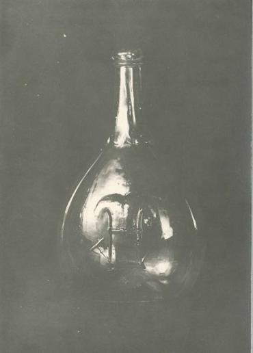 Figured Bottle (Calabash)