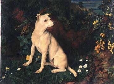 A White Terrier by a Mossy Bank with Flowers
