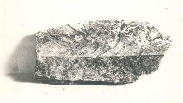 Fragment of a Relief of a Man from Maru Aten