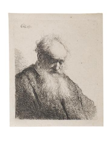 Bust of an Old Man with a Flowing Beard (H. 28, B. 309)