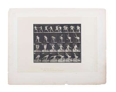 Animal Locomotion, Plate 332