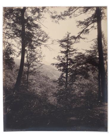 Cliff View / Through the Trees (Lehigh Valley Railroad)
