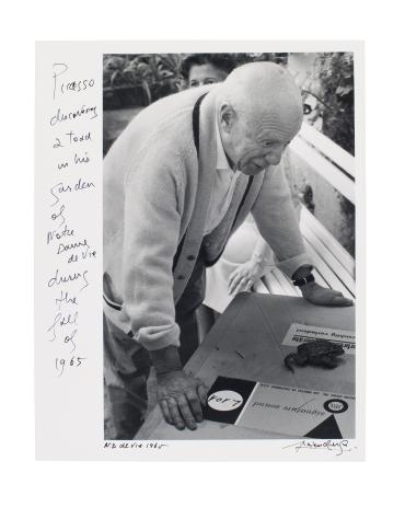 Picasso Discovering a Stray Toad in His Garden, Notre Dame de Vie  (Picasso découvrant un crapaud égaré dans son jardid, Notre Dame de Vie)