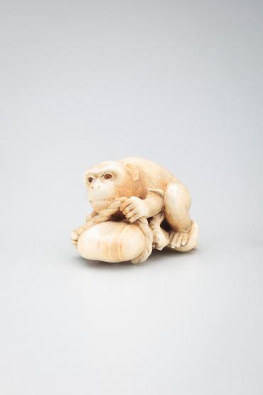 Netsuke: monkey, octopus and broken rope