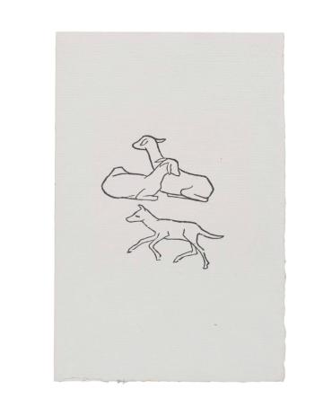 Untitled (Goats)