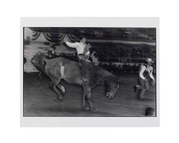 Untitled (Man on a Bucking Horse)