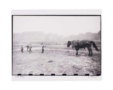 Horse, Paris