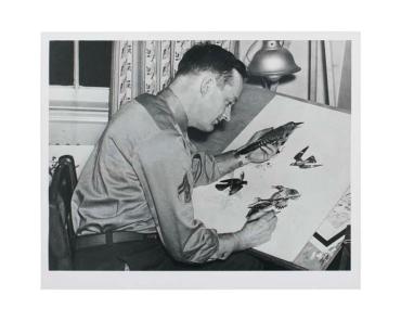 Untitled (Peterson at his drawing table)