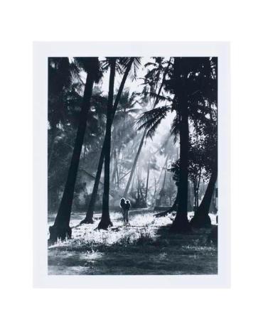 Early Images Portfolio I: girl in Palm Forest, Bombay, 1942