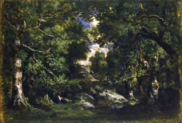 Forest of Fontainebleau