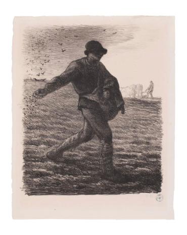 The Sower