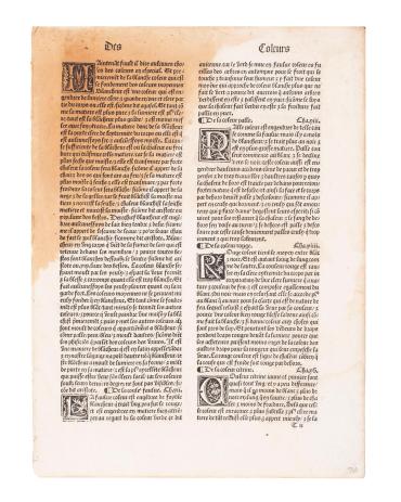 Leaf from De Proprietatibus Rerum