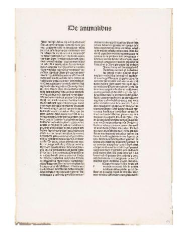 Leaf from De Proprietatibus Rerum