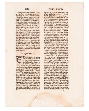 Leaf from De Proprietatibus Rerum