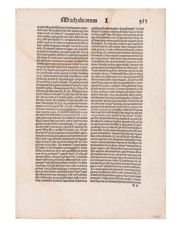 Biblia Latina (page)