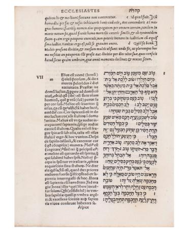 Leaf from a Hebrew - Latin Bible