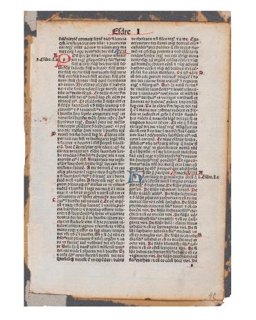 Printed leaf from Biblia Latina