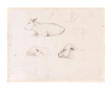 Calf Studies; verso: Cows and Cowherd (Lugt 143)