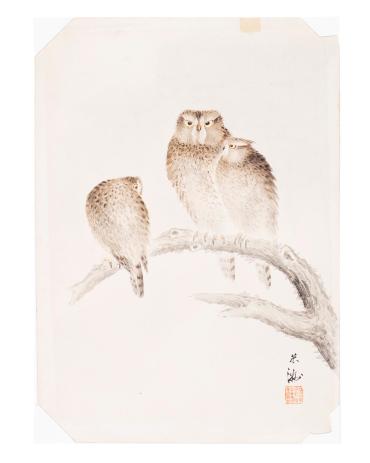 Three Owls on a Branch