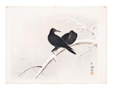 Two Rooks on Snow Covered Branch