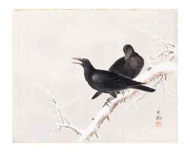 Two Rooks on Snow Covered Branch