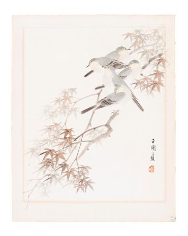 Five Birds on Maple Tree Branch