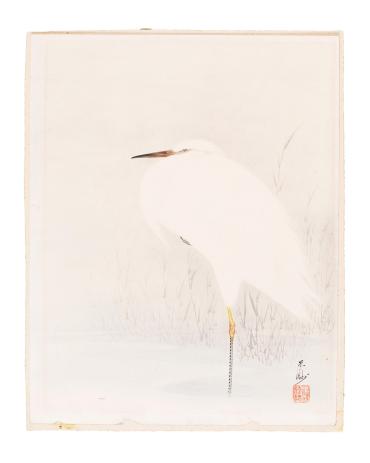 White Heron