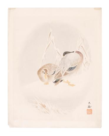 Pair of Mandarin Ducks
