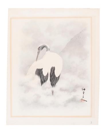 Stork Standing in Mountain Mists, Preening