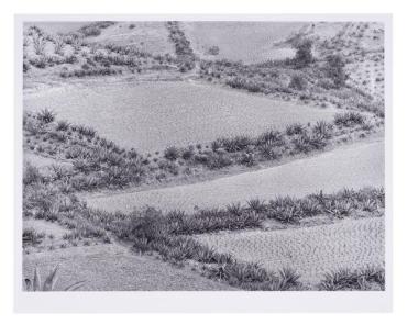 Growing Landscape (Paisaje de Siembras), from Photographs by Manuel Alvarez Bravo