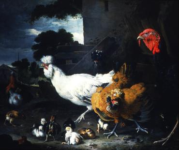 Poultry in a Landscape