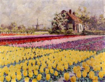 Flower Field Near Leiden