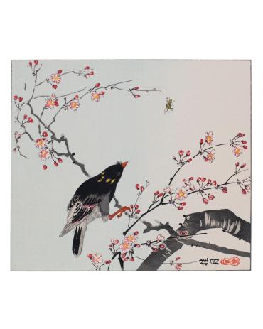 Bird and Weeping Cherry