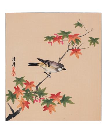 Bird and Tinted Maple