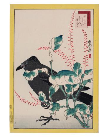 A Kokumaru Crow and White-Spotted Mizuhiki Weed, from the series: Pictures of Forty-Eight Birds