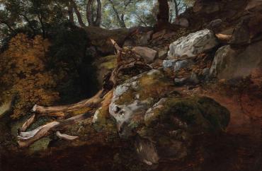 Rocks and Trees, Forest Hillside