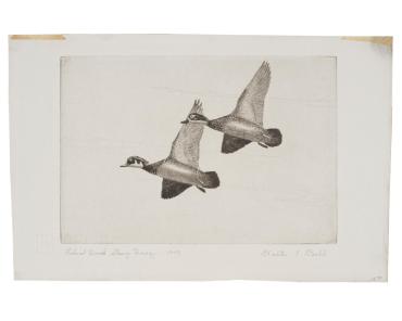 Duck Stamp Design, 1943