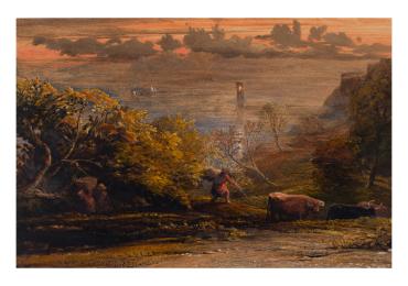 Evening Landscape