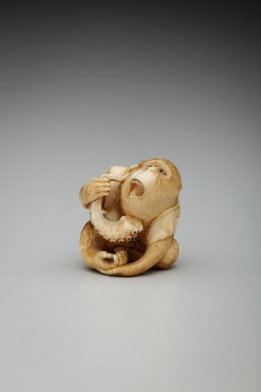 Seated monkey holding octopus tentacle