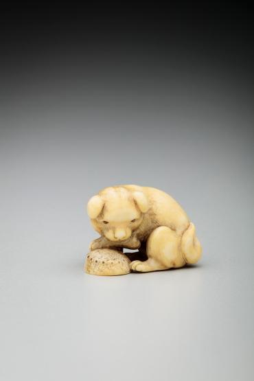 Seated Dog (inu) holding an awabi (abalone) shell in its paws