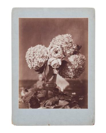 Roses et hortensias dans un verre
(Roses and hydrangea in a glass)