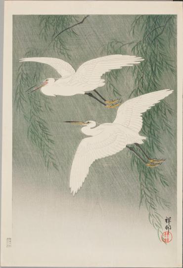 White Herons and Willow