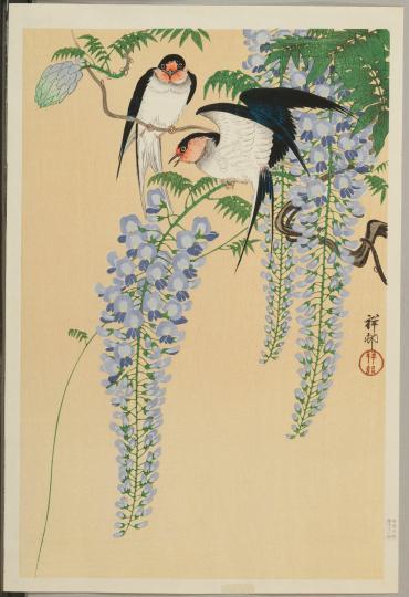 Wisteria and Swallows