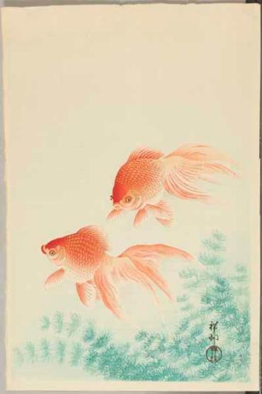 Goldfish