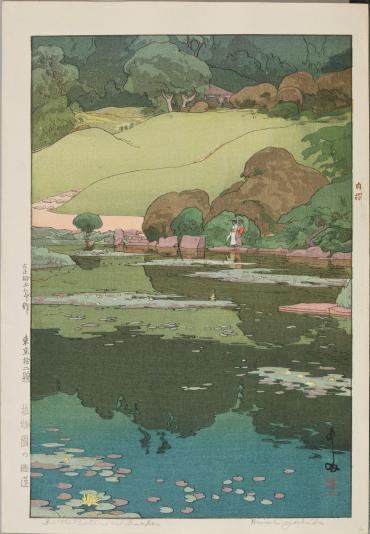 Water Lilies in the Botanical Garden, from “Twelve Subjects of Tokyo”
