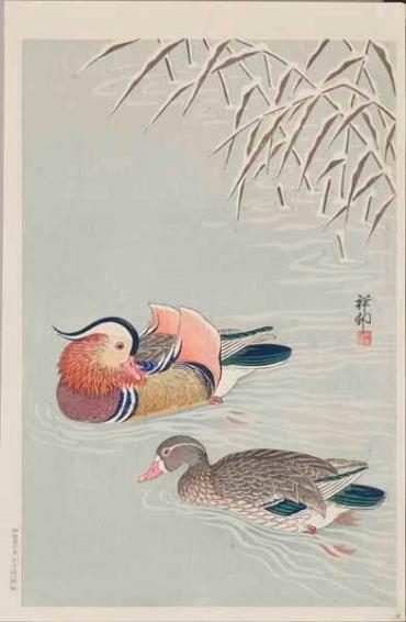 Mandarin Ducks and Snow