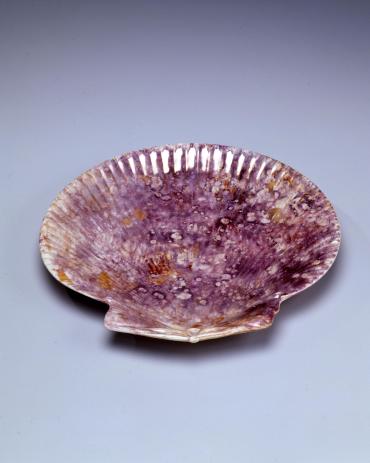 Plate in the form of a shell
