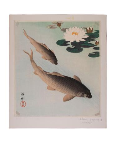 Carp and White Lotus